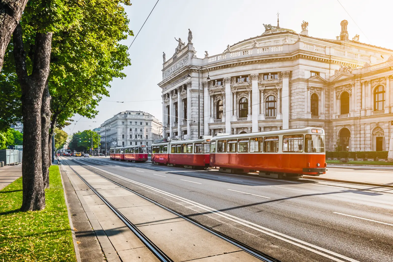 Un tram percorre un viale alberato davanti a un edificio storico.
