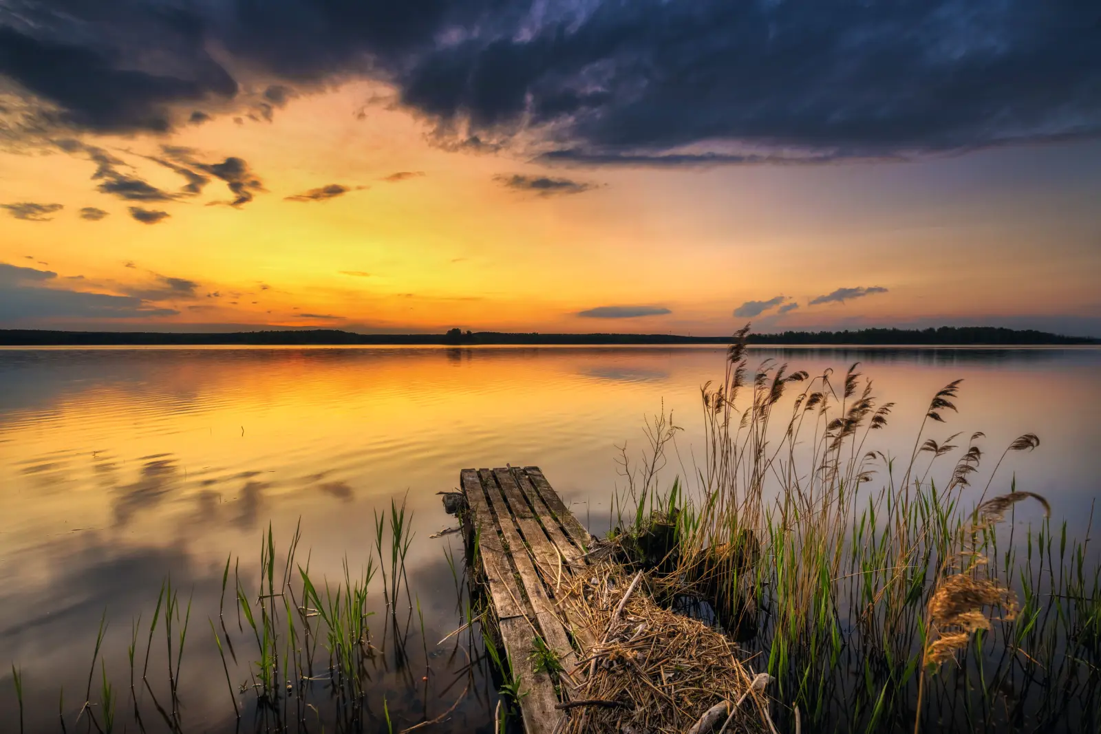 Coucher de soleil sur un lac avec un ponton et des roseaux au premier plan.