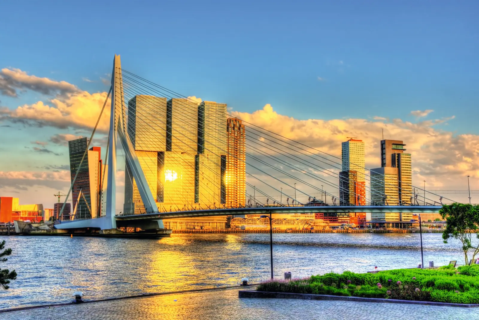 Skyline de Rotterdam au coucher du soleil, avec un pont et des bâtiments modernes.