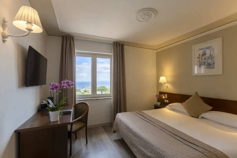 Hotel Central Wellness image