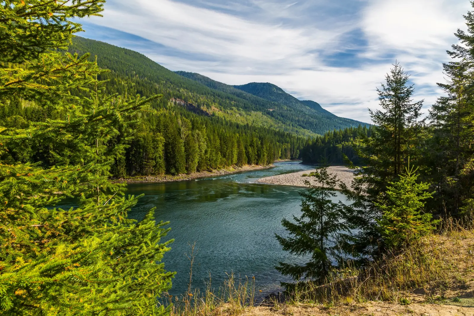 Image Clearwater River près de Clearwater