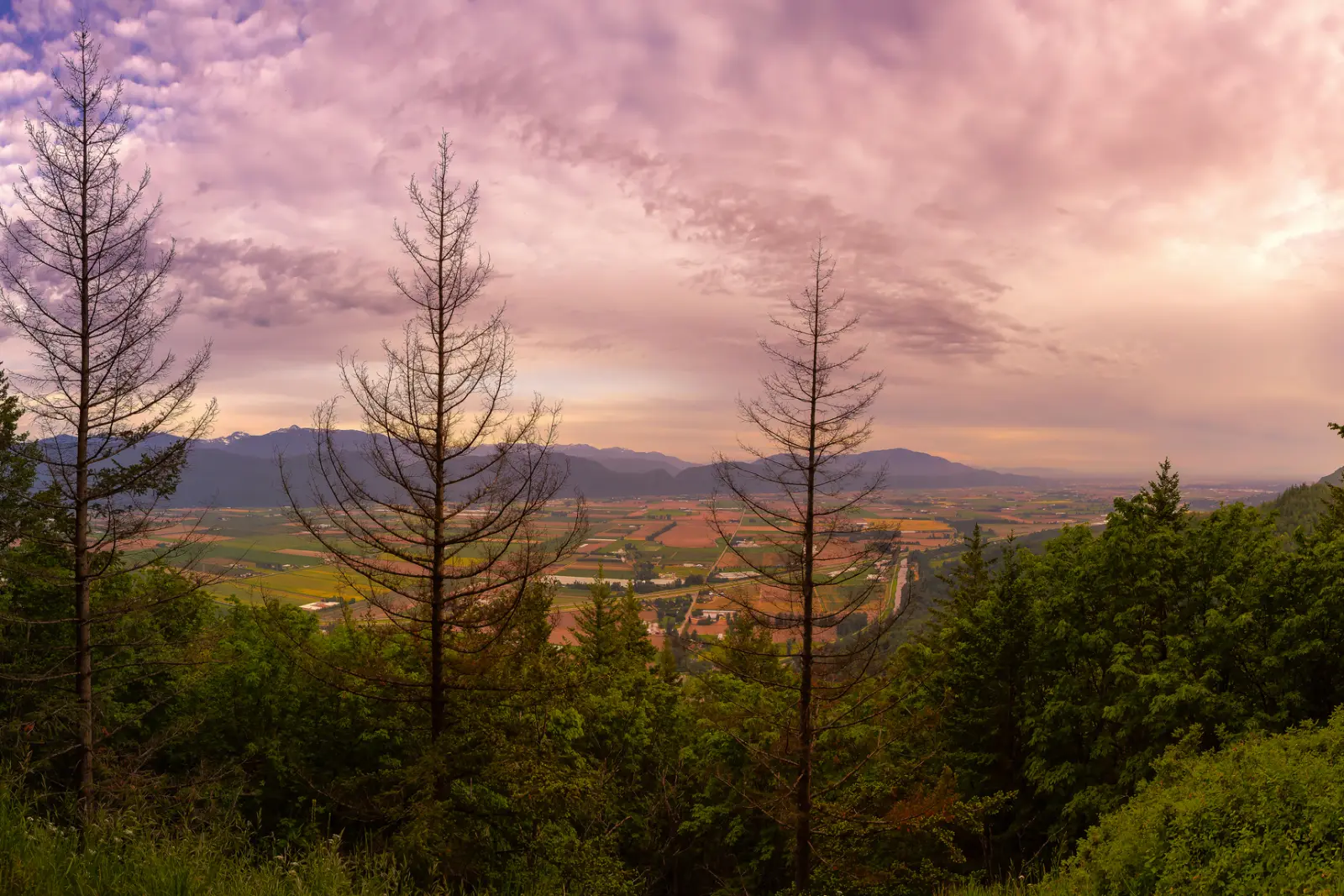 Image Panoramasicht auf das Fraser Valley