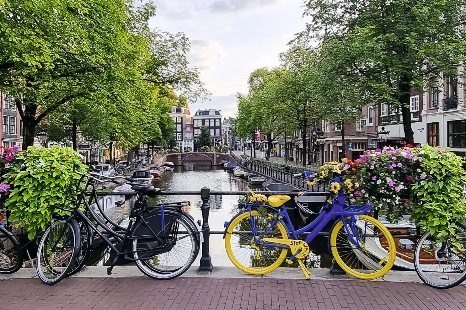 Bicycles on a bridge over a canal, lined with trees and buildings.