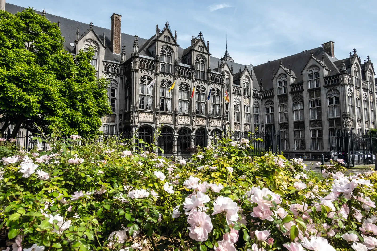 Edificio storico con elementi gotici dietro rose in fiore.