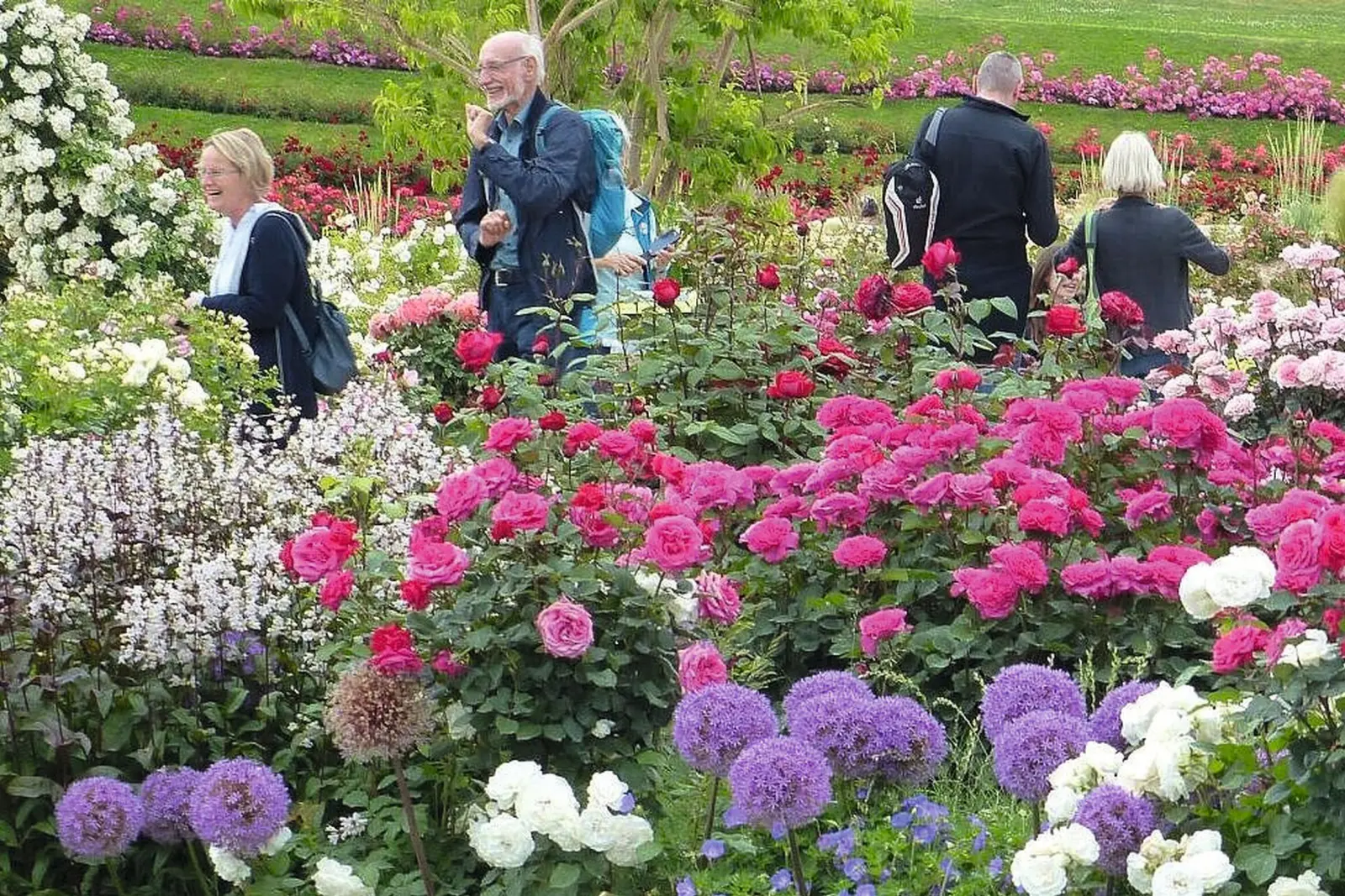 Rosengarten Bild