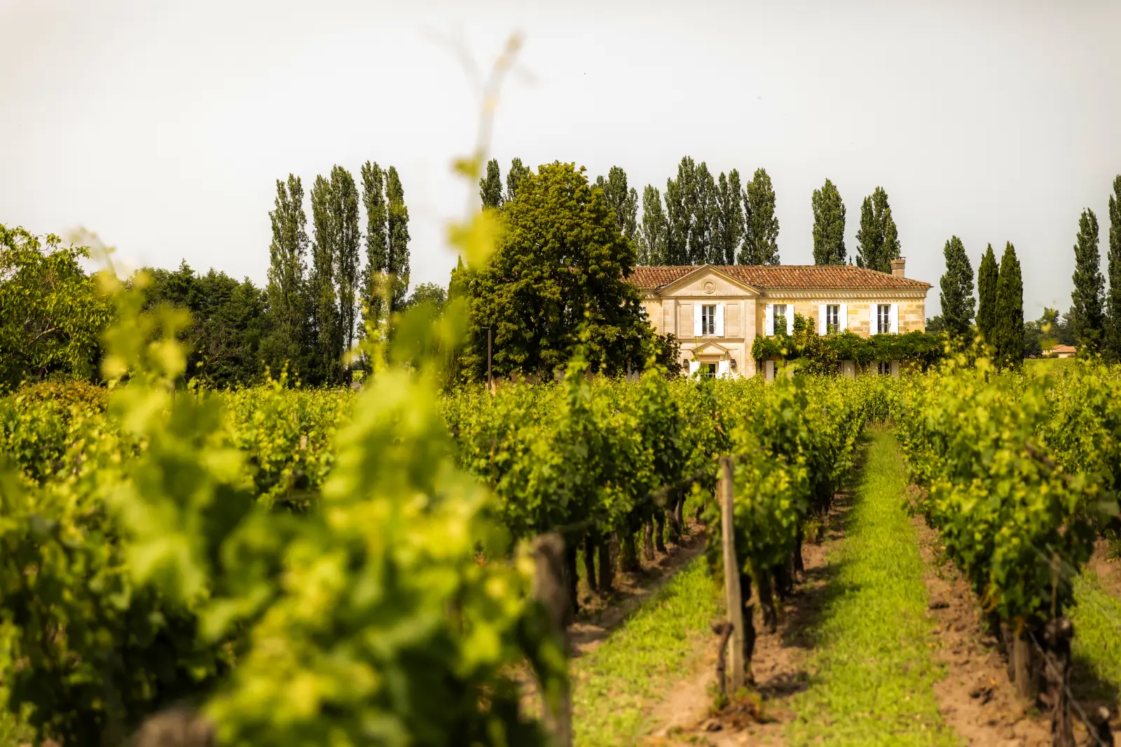 Château Fleur de Lisse immagine