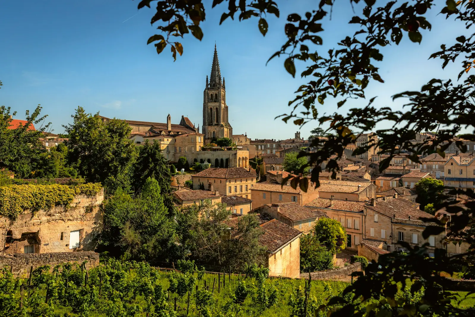 St. Emilion immagine