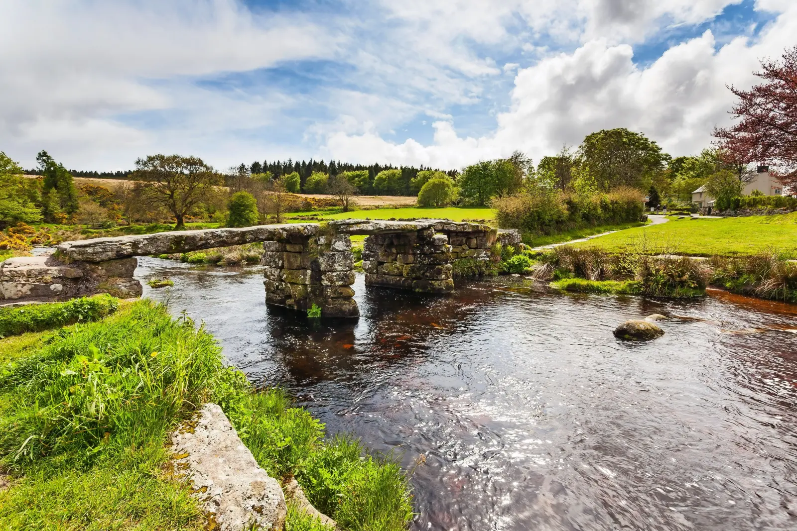 Image Dartmoor