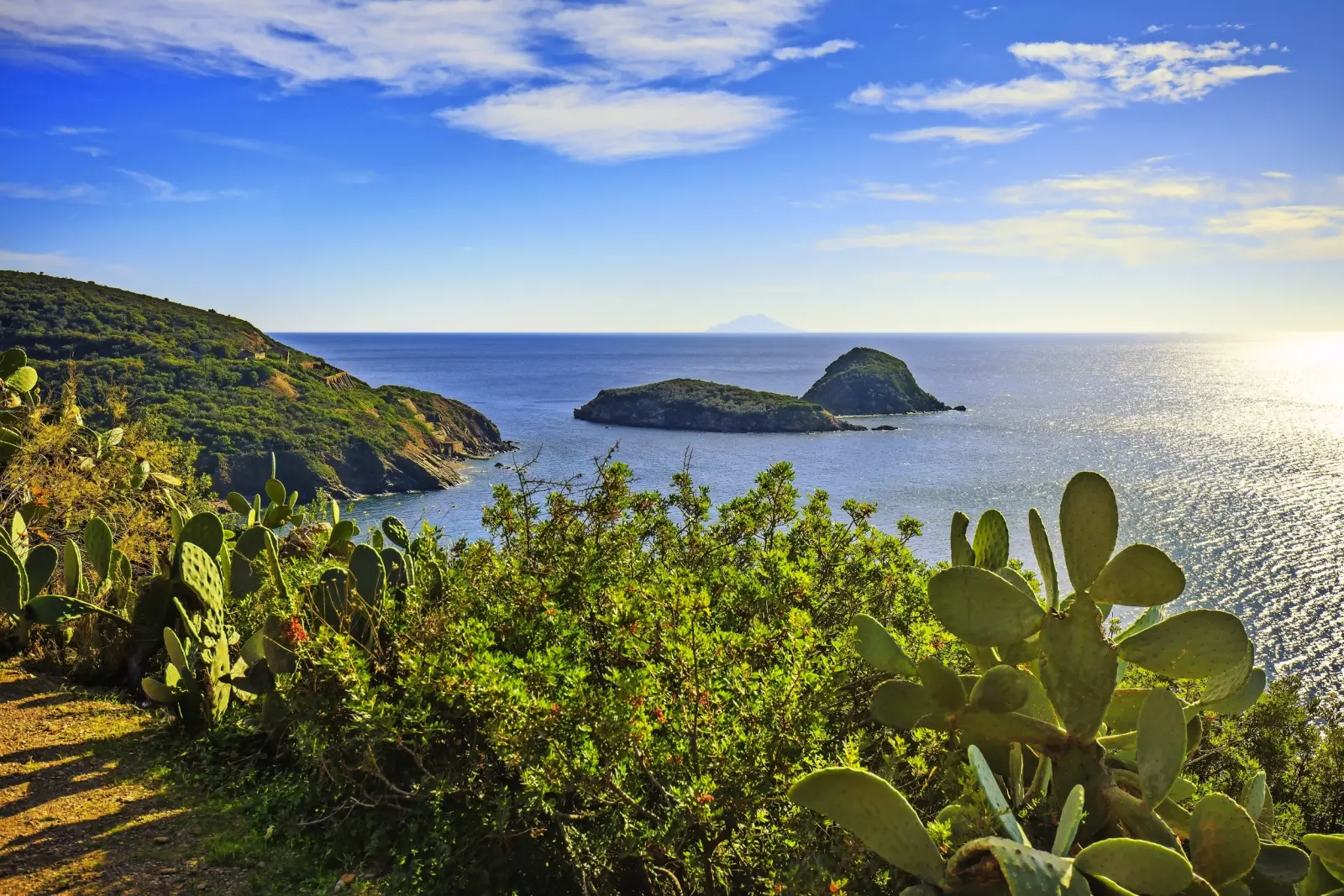 Isola d'Elba immagine