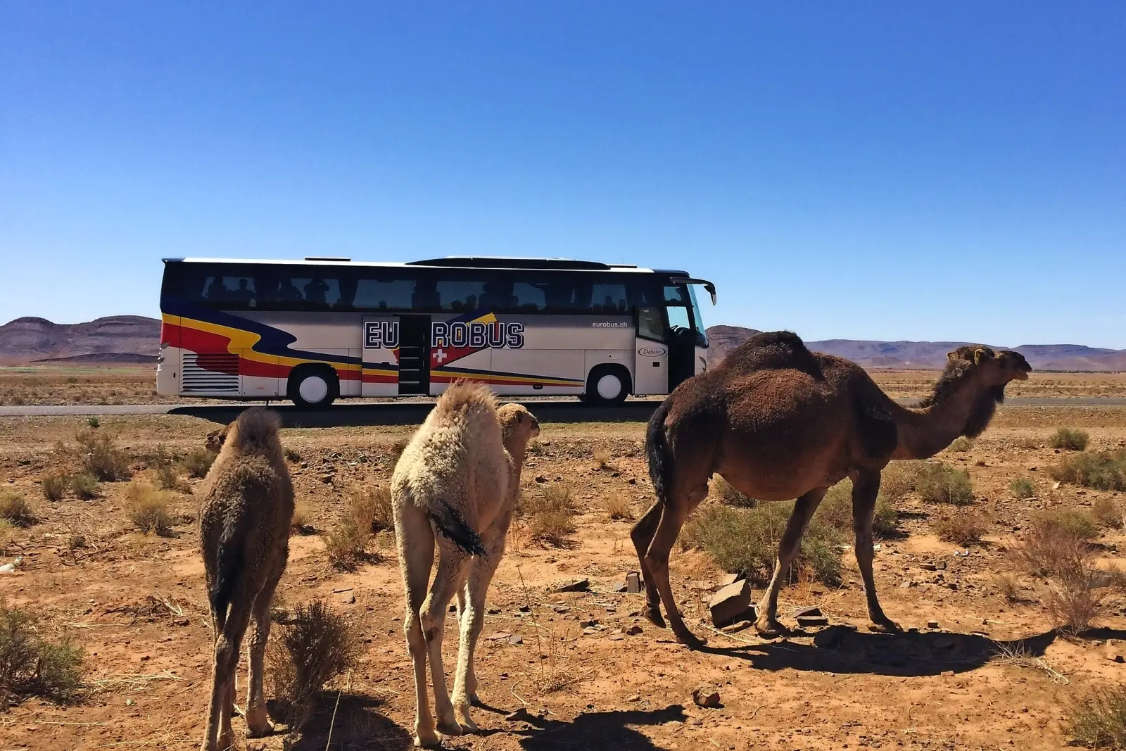 Image Car Eurobus dans le Sahara