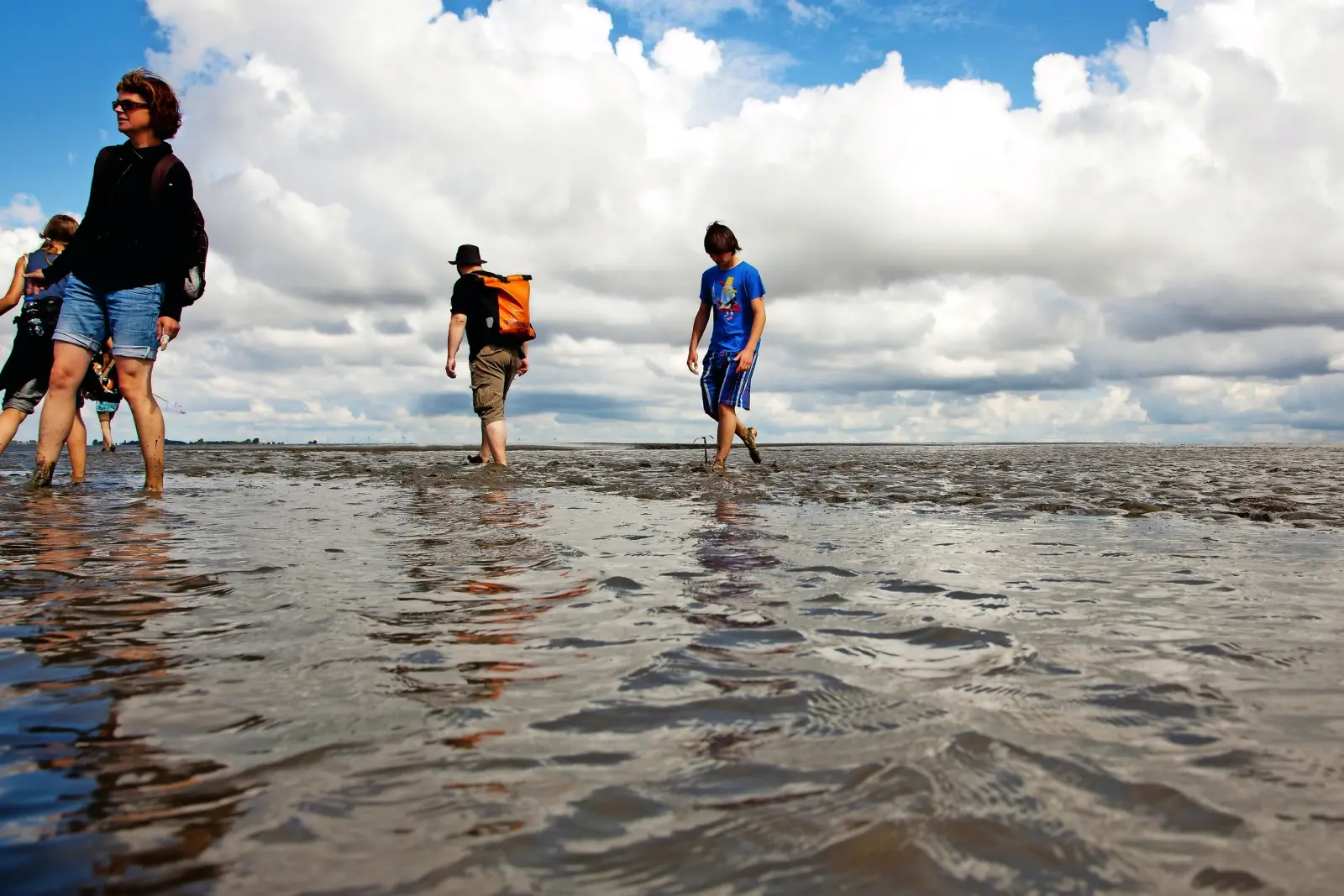 Escursione nel Wattenmeer del Mare del Nord immagine