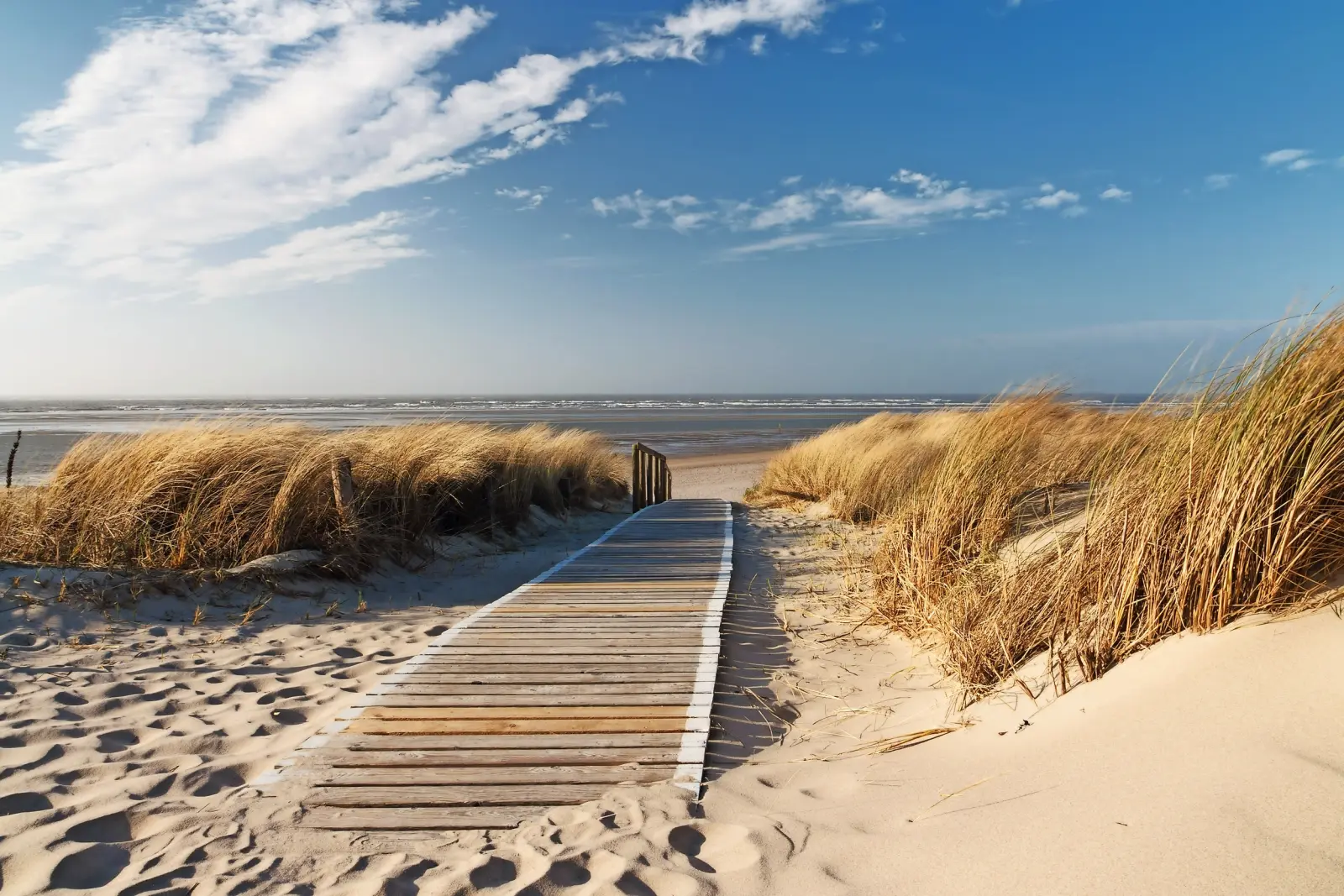 Strand auf Insel Langeoog immagine