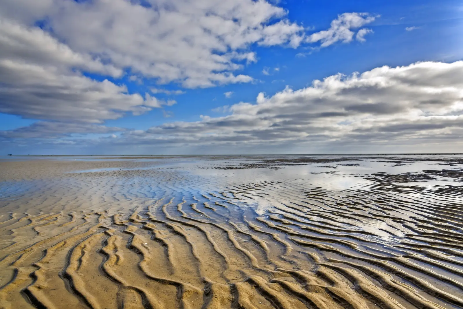 Wadden Sea image