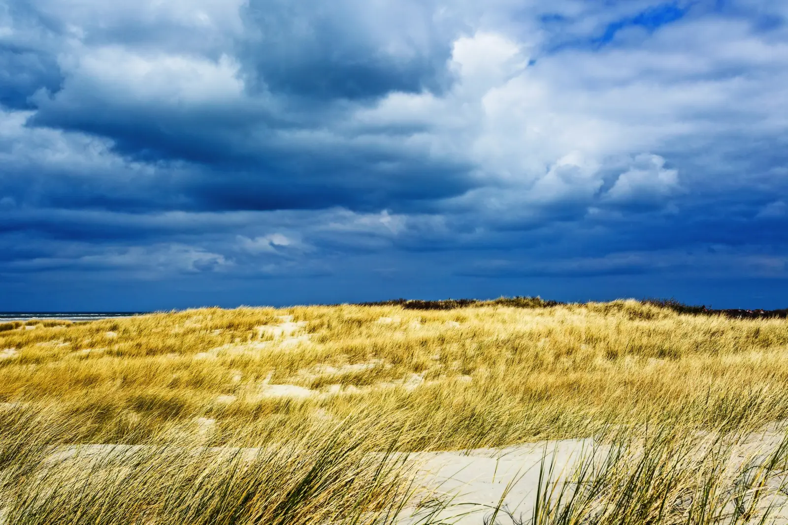 Dünenlandschaft auf Langeoog immagine