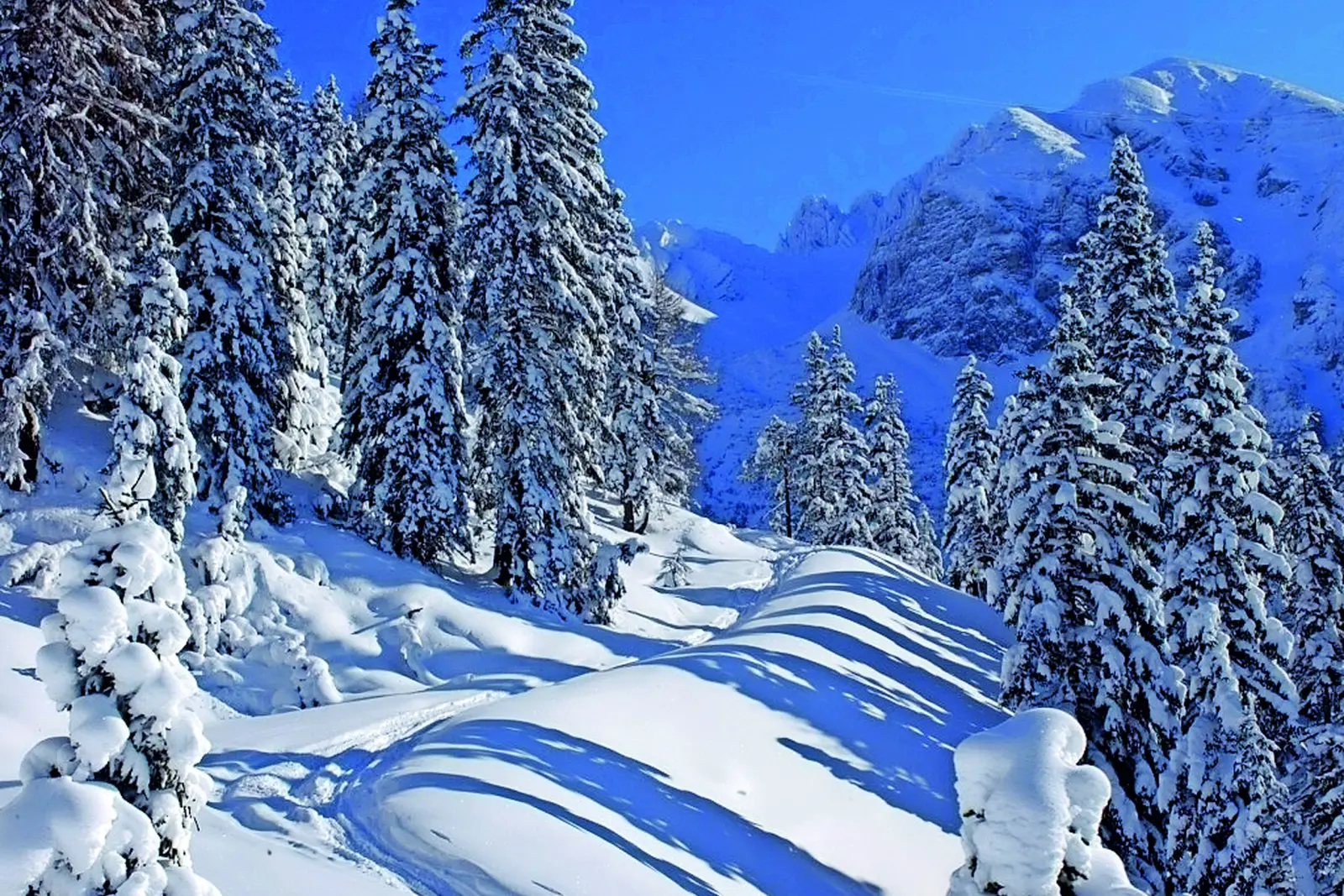 Winter landscape at Rosshütte, Seefeld image