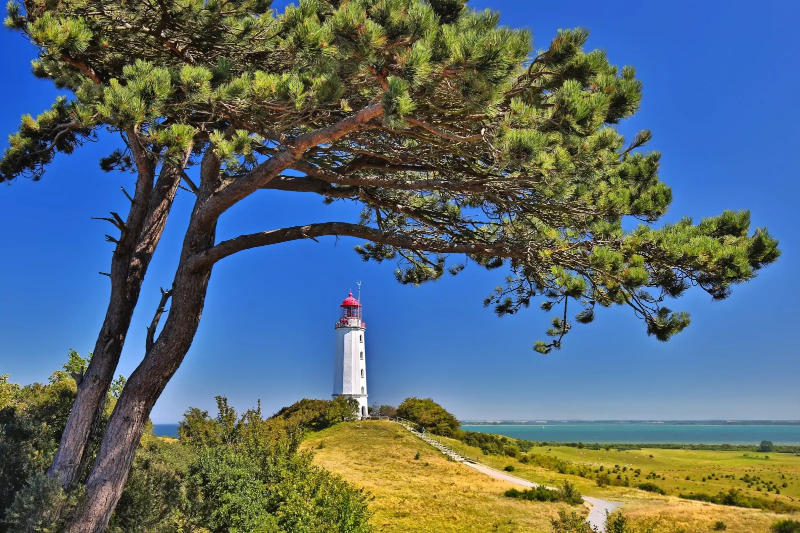 The car-free island of Hiddensee image