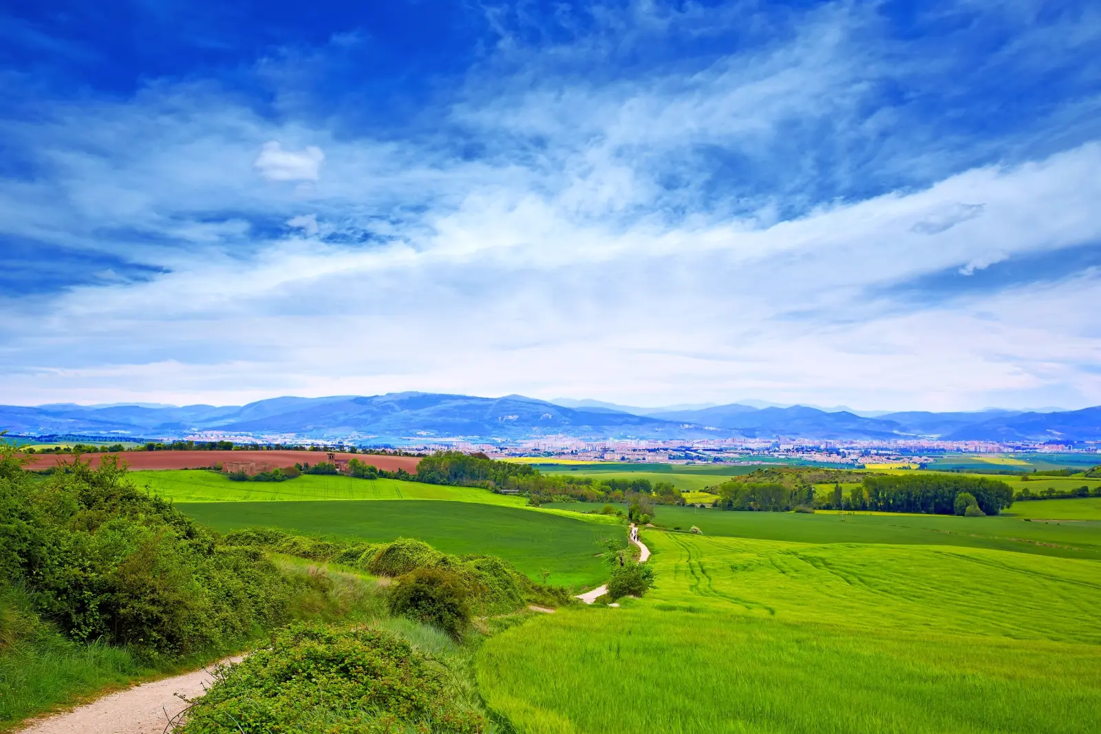 Camino Francés immagine