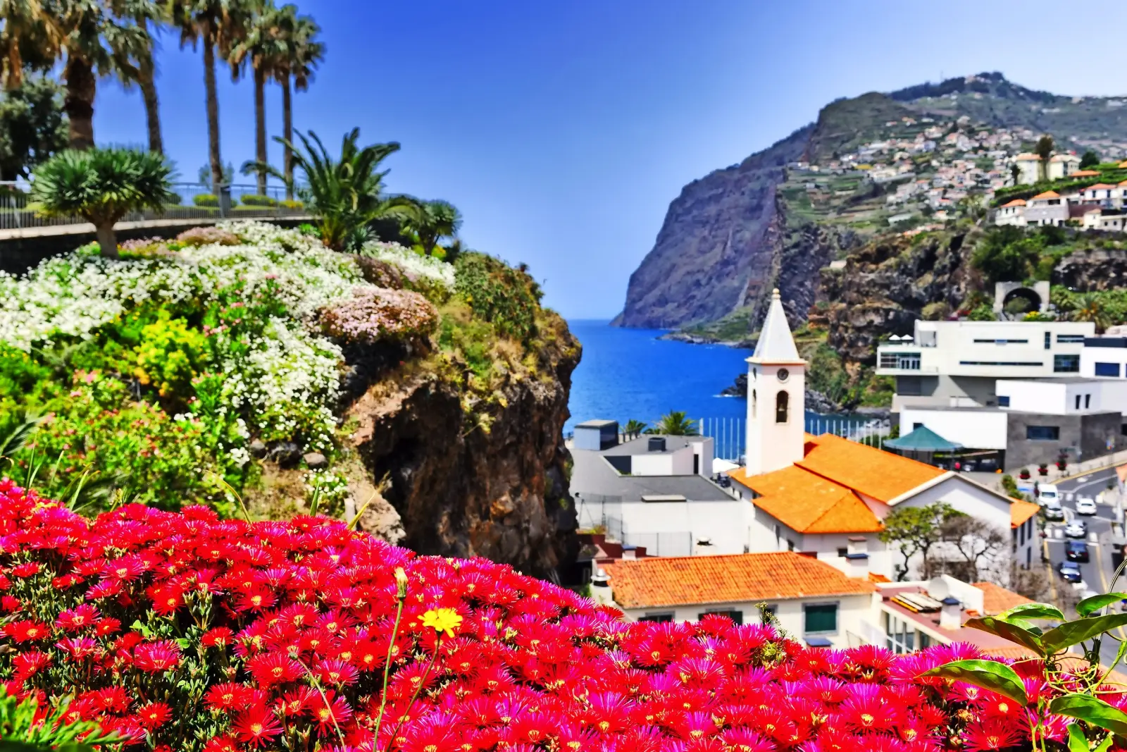 Coastal landscape with flowers, palm trees, buildings and steep cliffs by the sea.