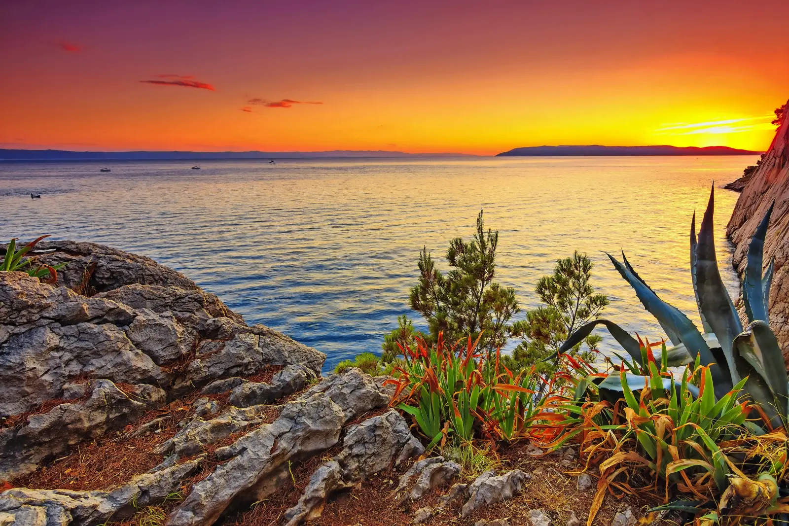 Image Riviera de Makarska