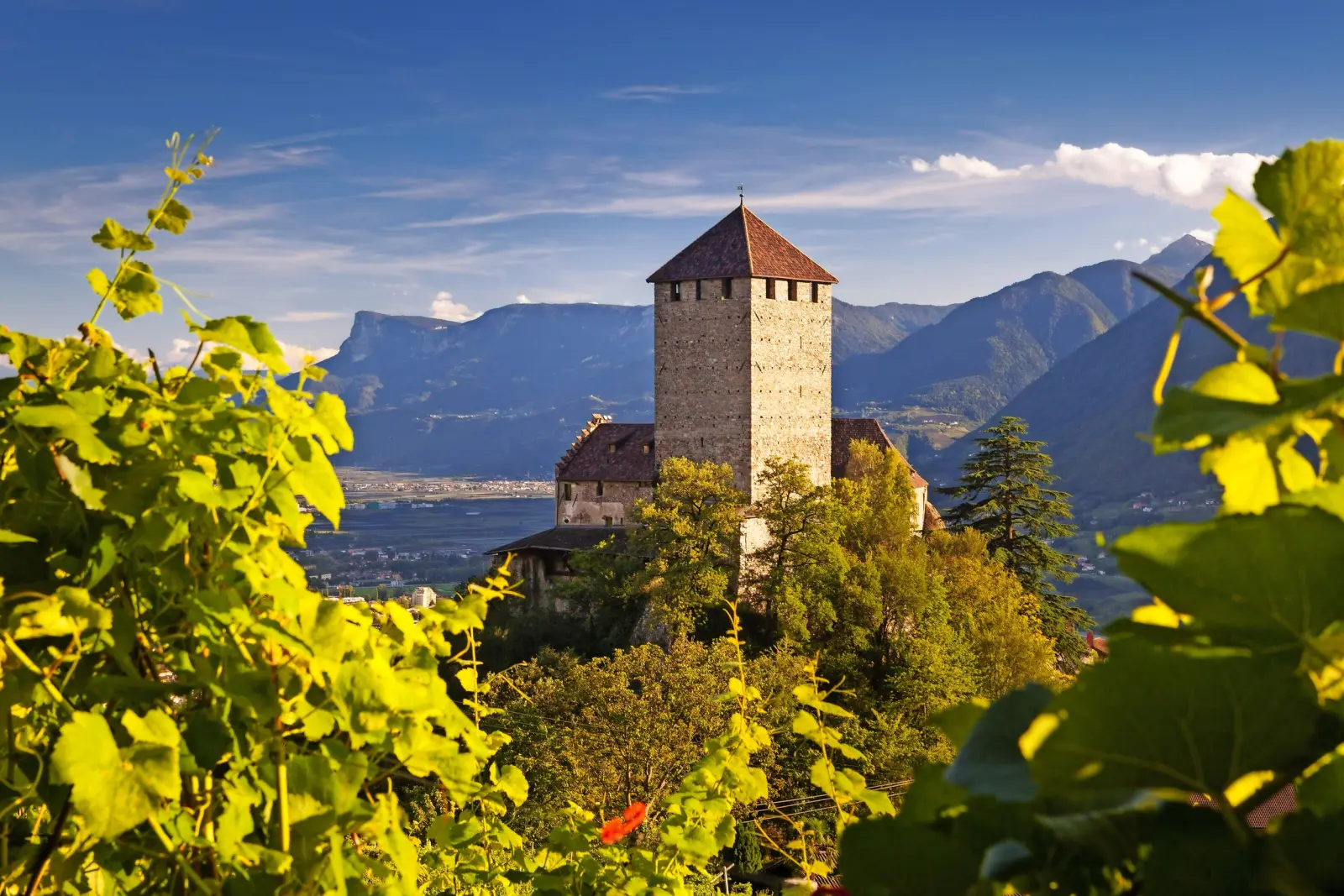 Image Schloss Tirol bei Bozen