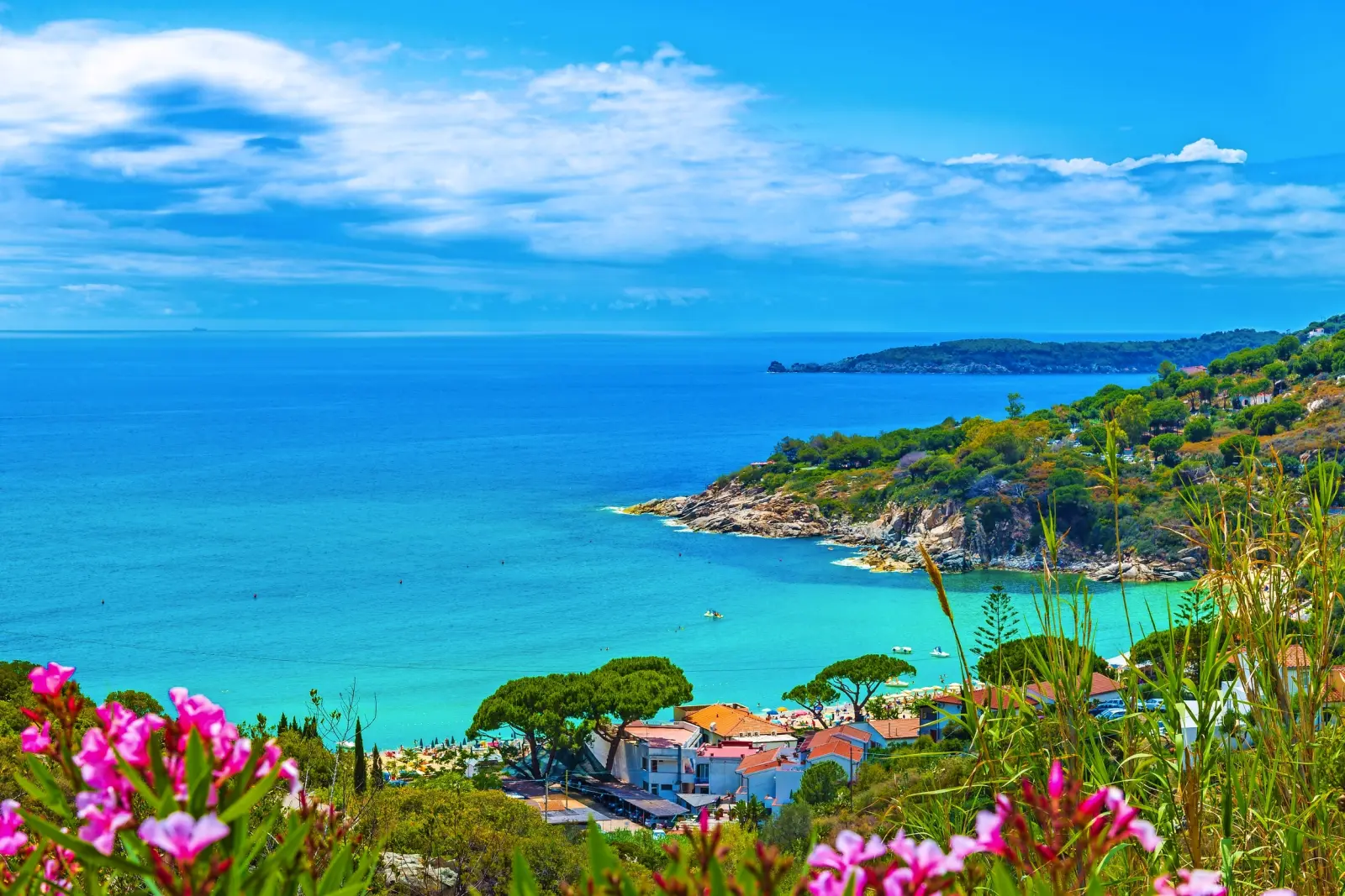 Vista panoramica sull'Isola d'Elba immagine