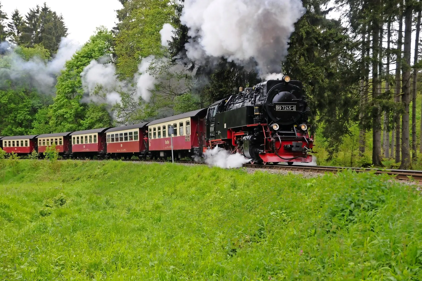 Image Train à vapeur Molli - côte de la mer Baltique