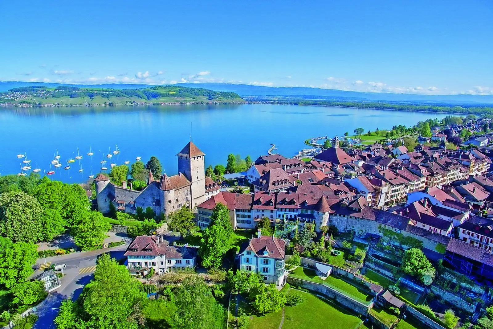 Bird above Murten image