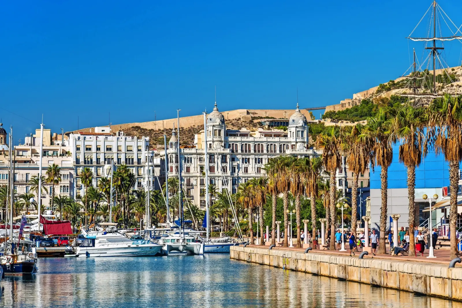 Harbour promenade with yachts, palm trees and historic buildings under a blue sky.