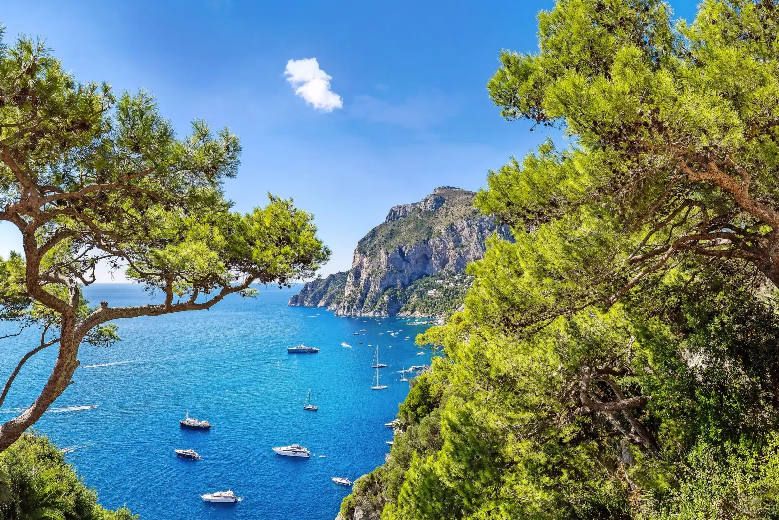 Costa con barche, scogli e pini in primo piano sotto un cielo azzurro e limpido.