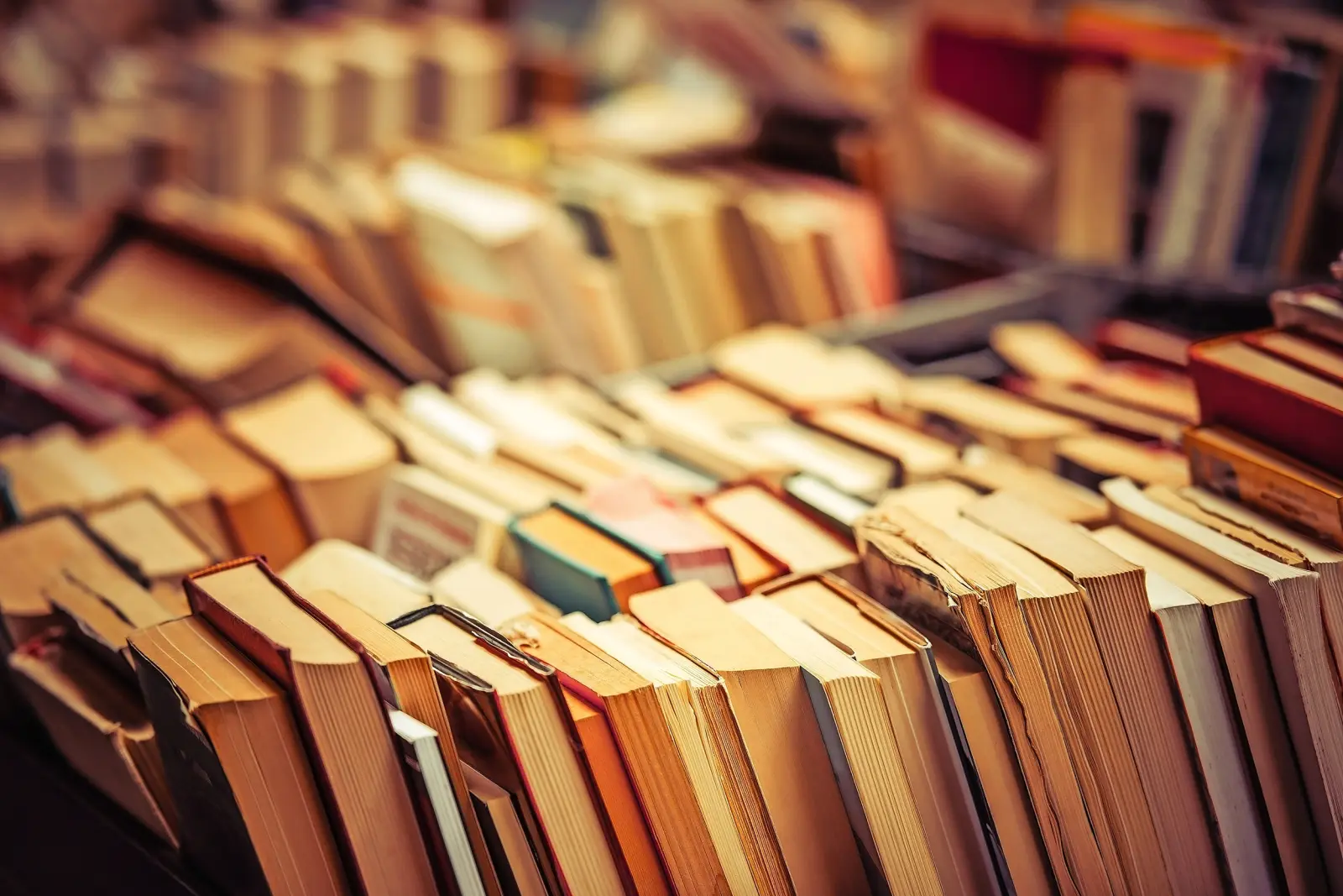 Libri immagine