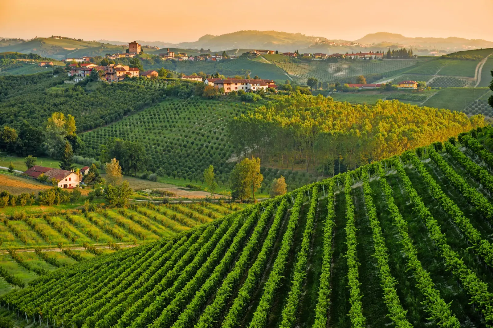 Langhe region image