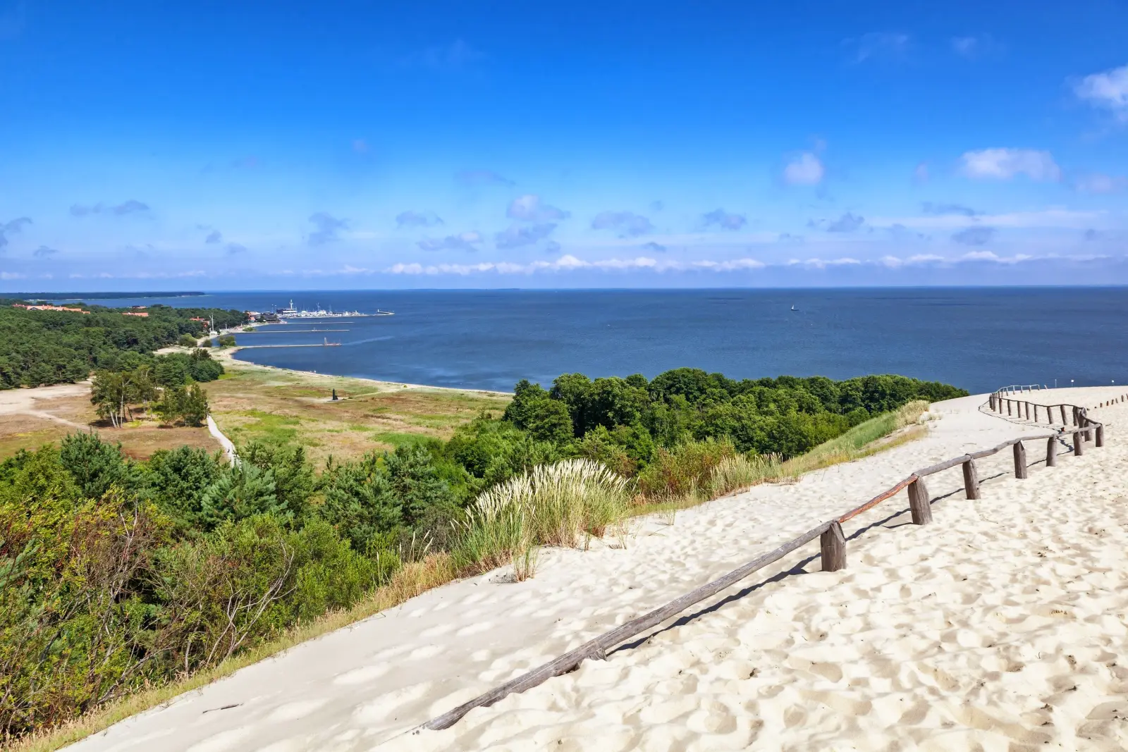 Dune landscape with a view of the sea and a wooded coastline.