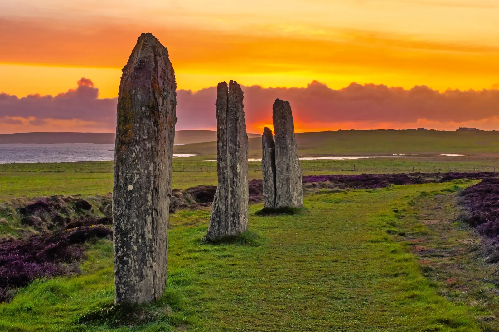Image Pierres dressées de Brodgar