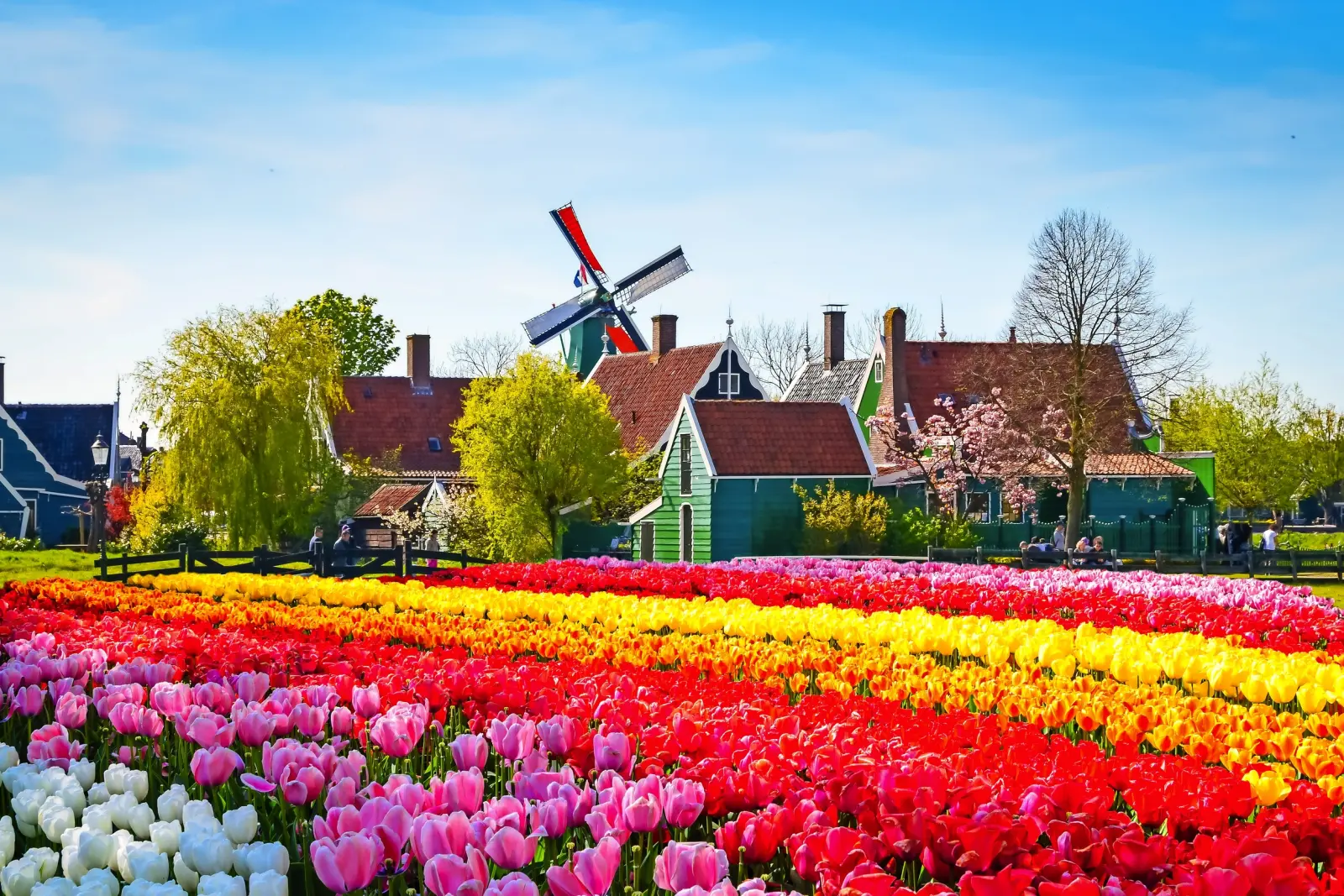 Keukenhof immagine