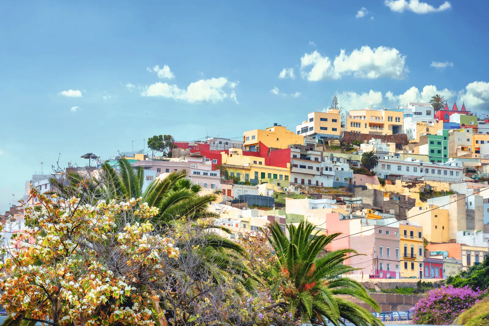 Veduta di una città collinare con case colorate e vegetazione rigogliosa in primo piano.