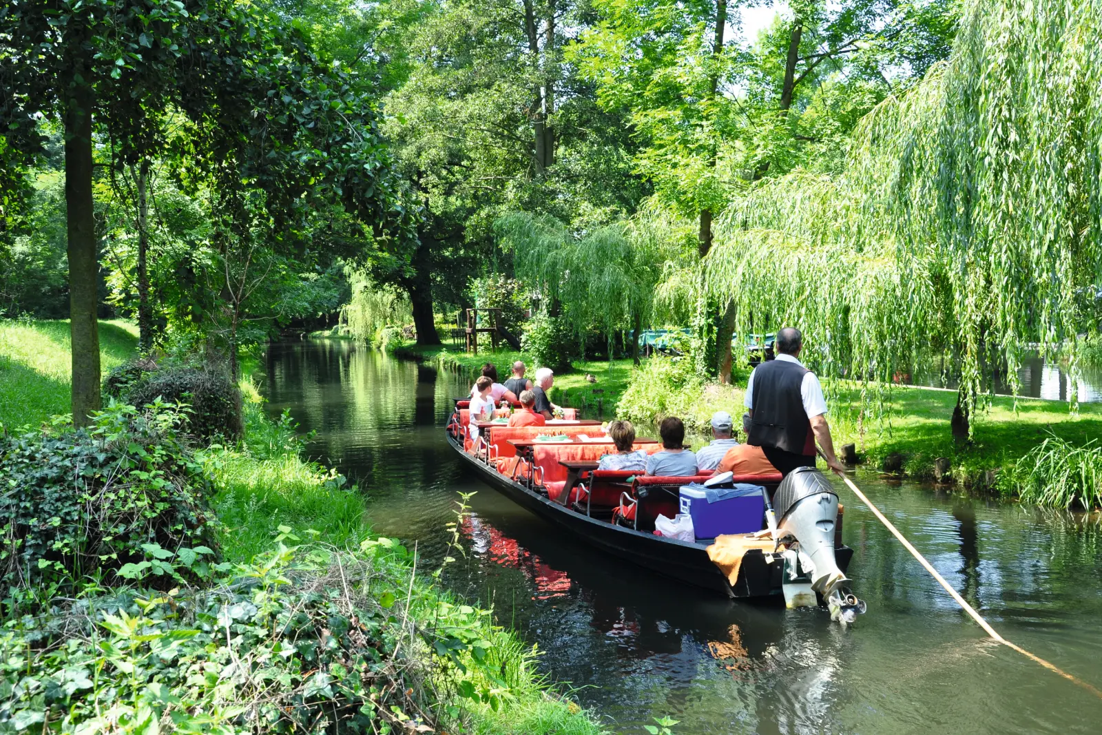 Des personnes en bateau dans un canal vert, entourées d'arbres.