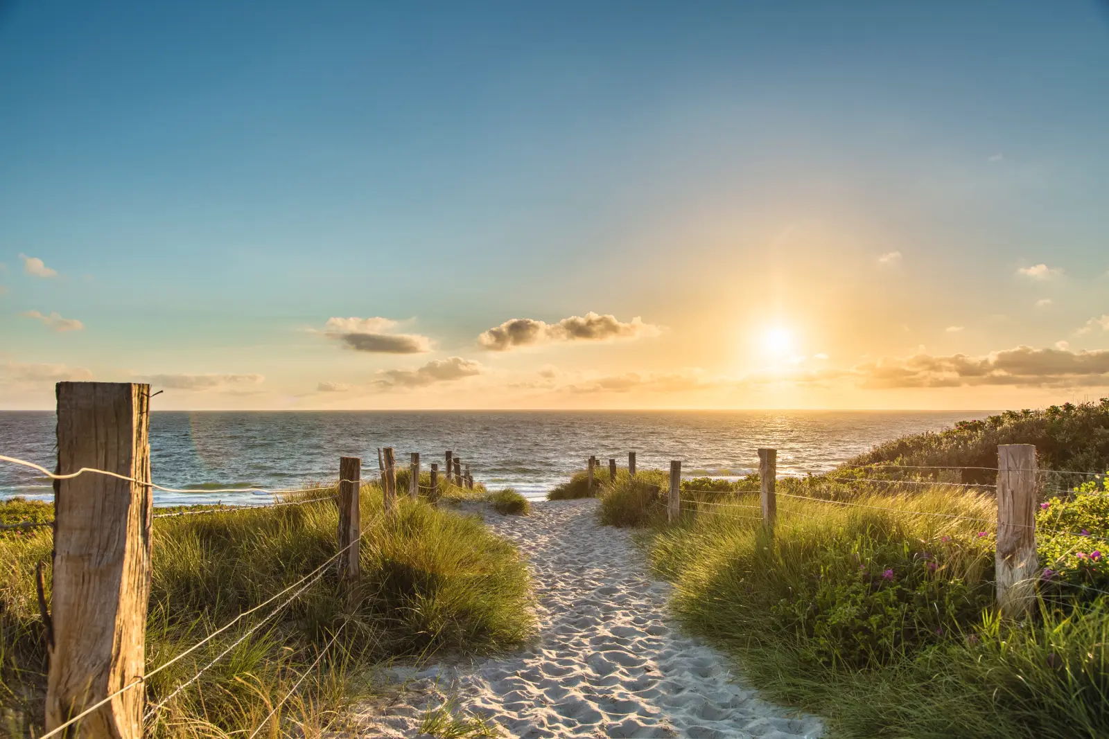 Beach and sea