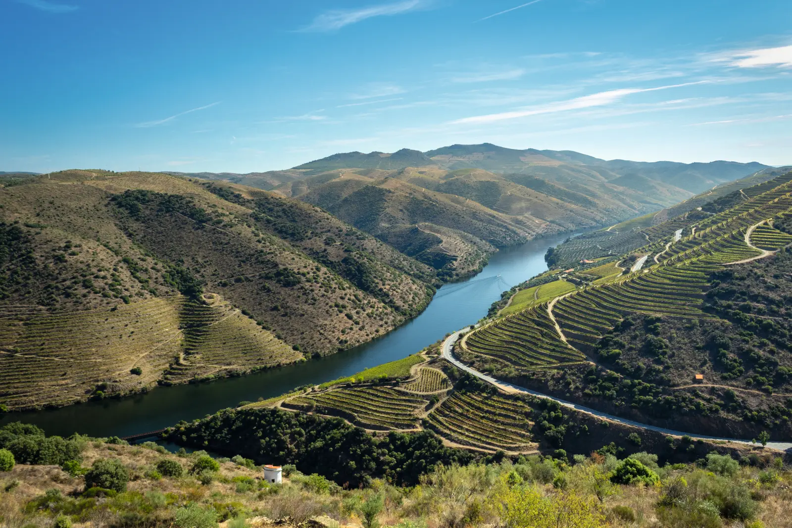 Tipico paesaggio del Douro