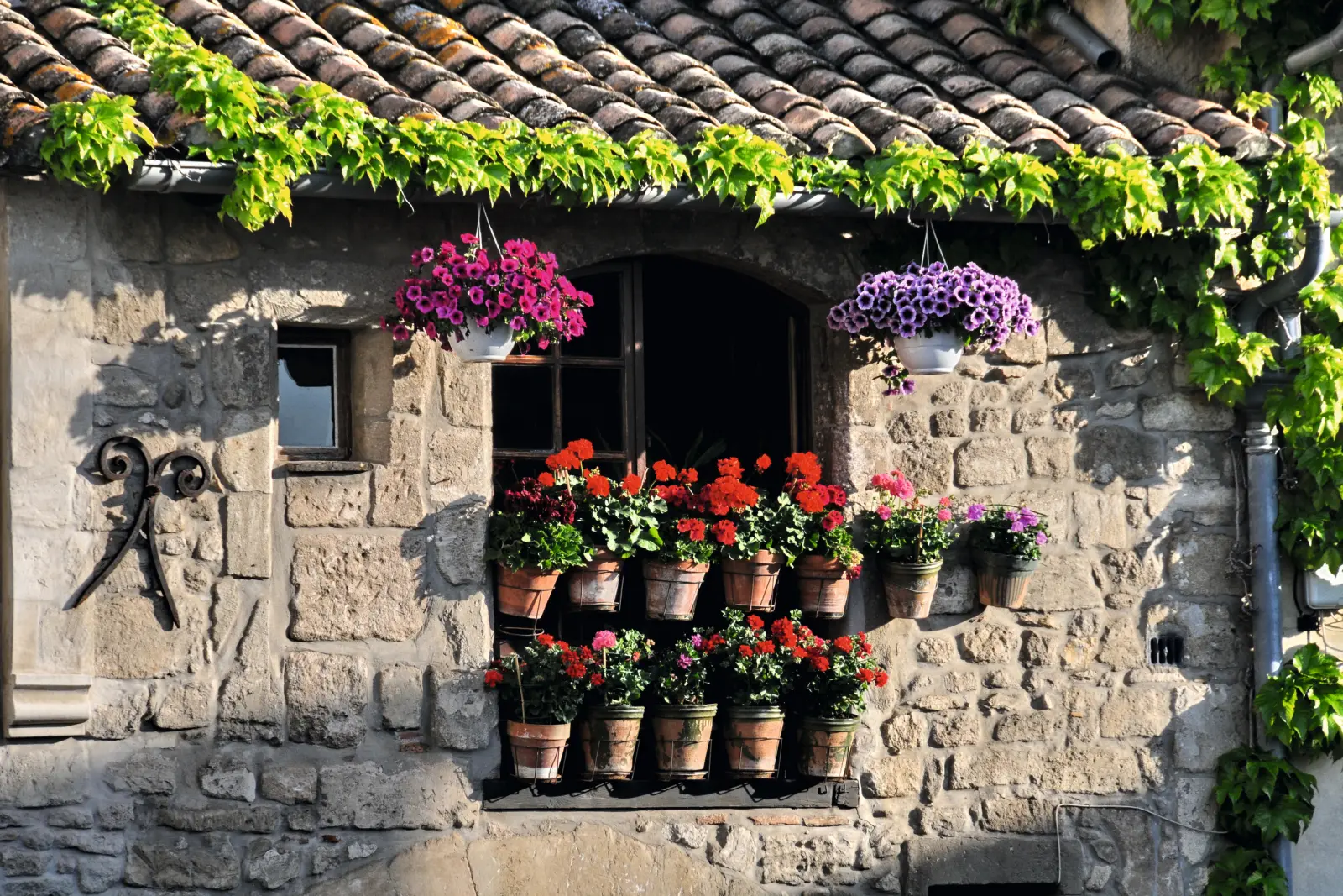 Finestra con cassette di fiori e viti su una vecchia casa in pietra.