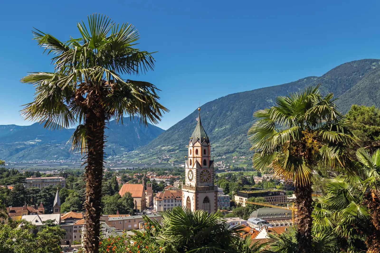 Aussicht auf Meran vom Tappeinerweg