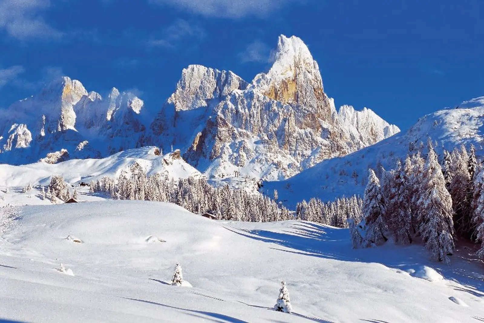 Dolomiti