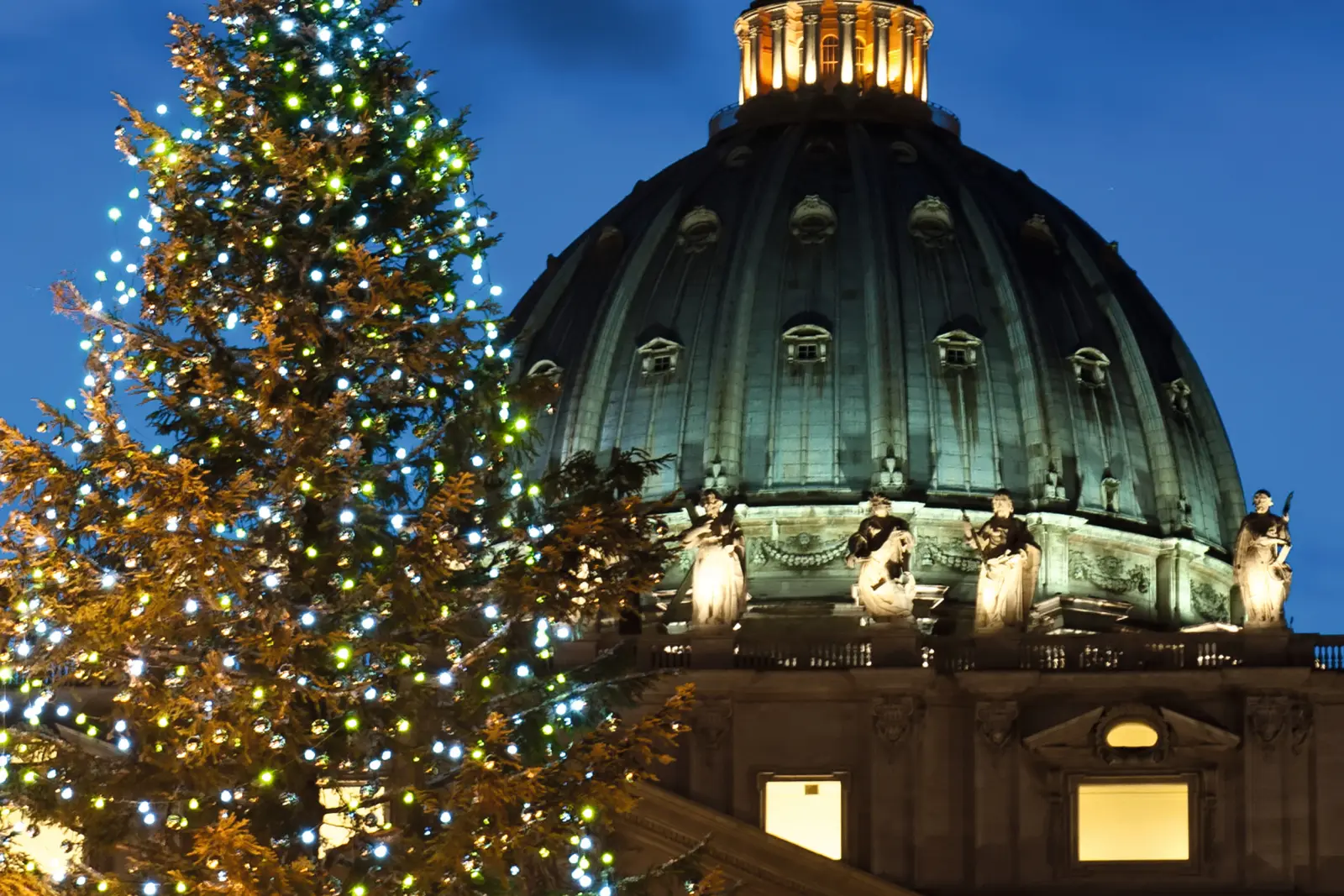 Albero di Natale illuminato davanti alla Basilica di San Pietro di notte.