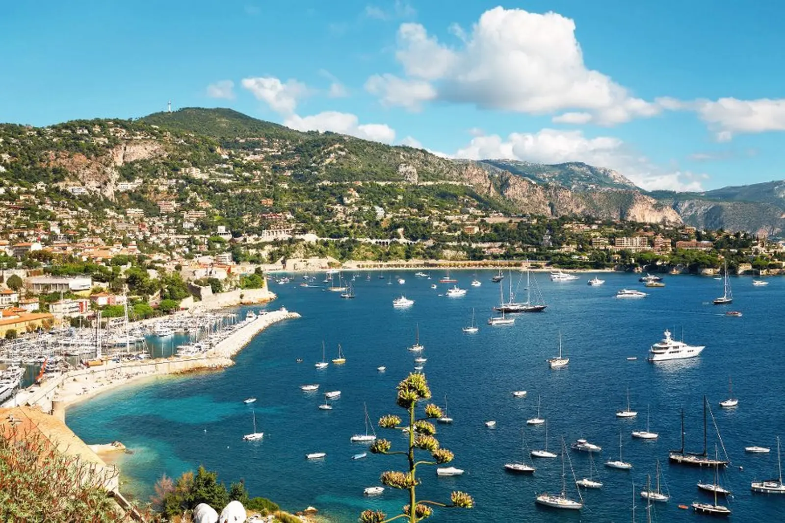 Riviera des fleurs