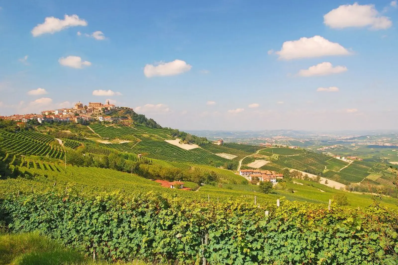 Landschaft mit Weinbergen und einem Dorf auf einem Hügel unter blauem Himmel.
