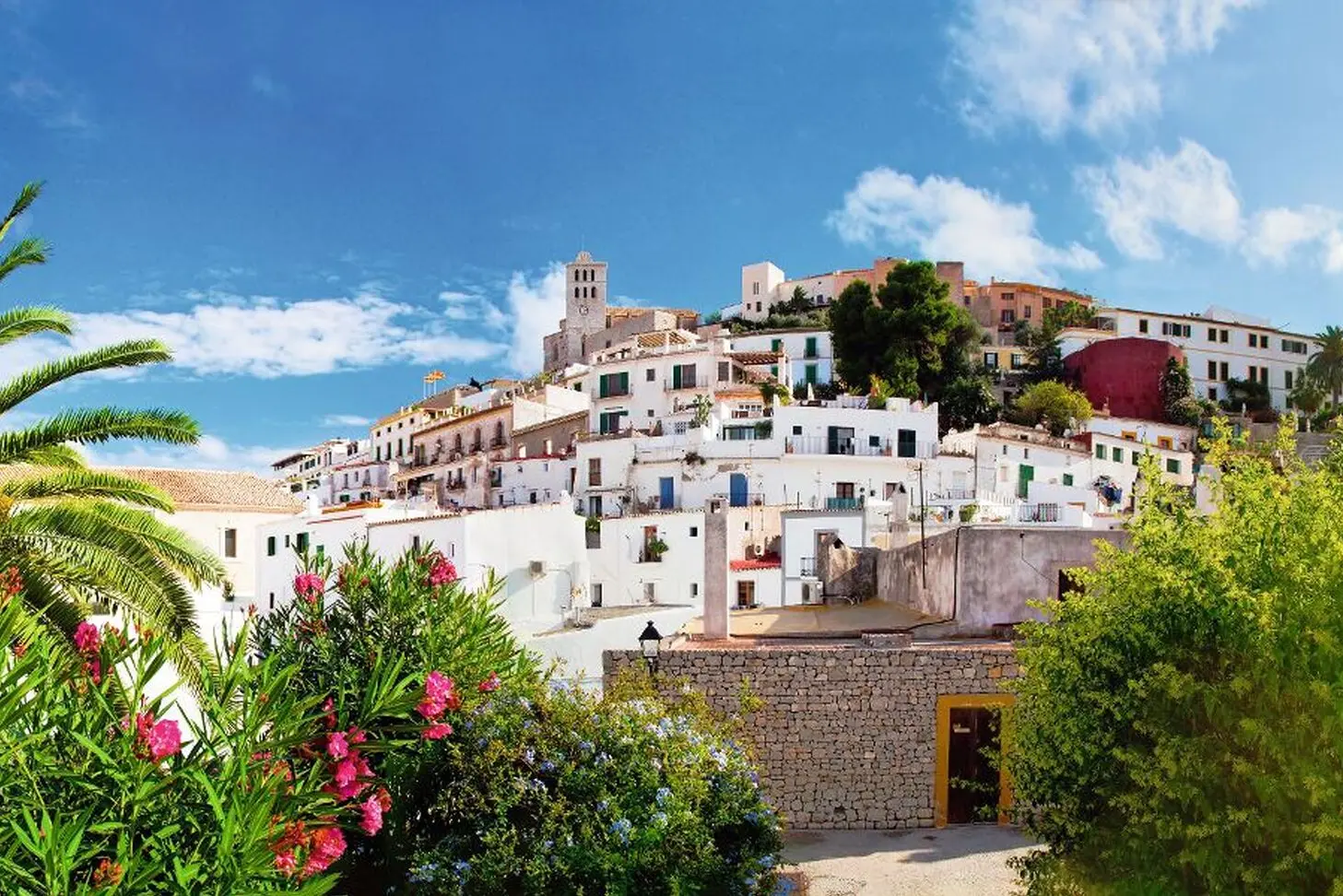 Veduta mediterranea di una città con case bianchissime e palme in primo piano.