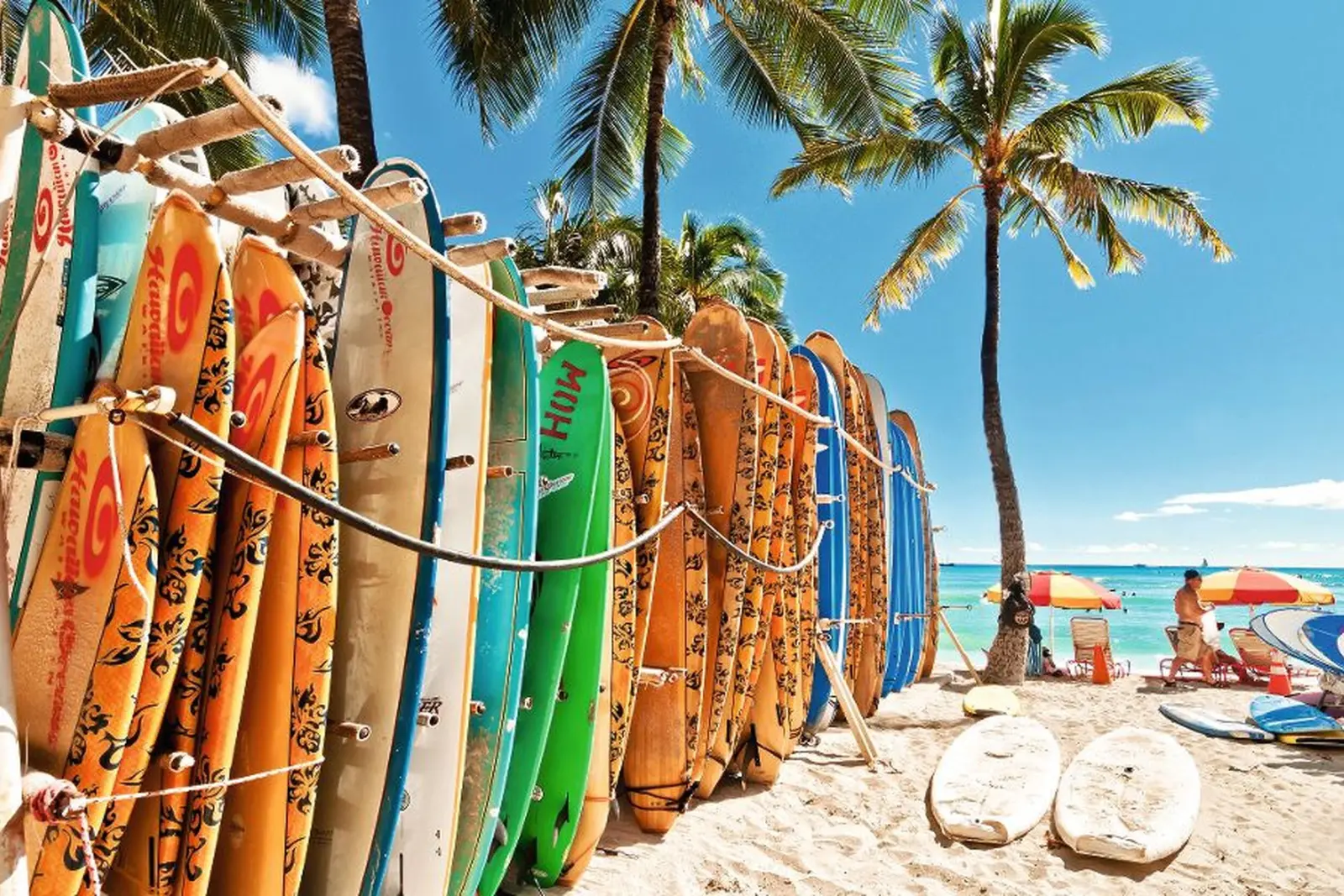 Surfbretter im Sand mit Palmen und Meer im Hintergrund