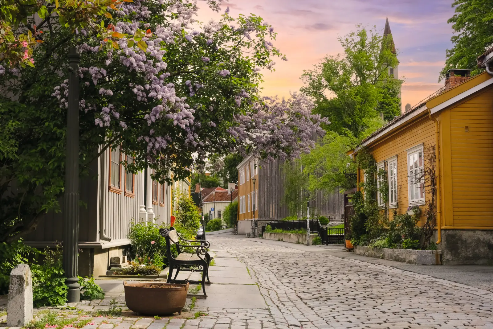 Strada acciottolata con colorate case in legno e alberi in fiore al tramonto.