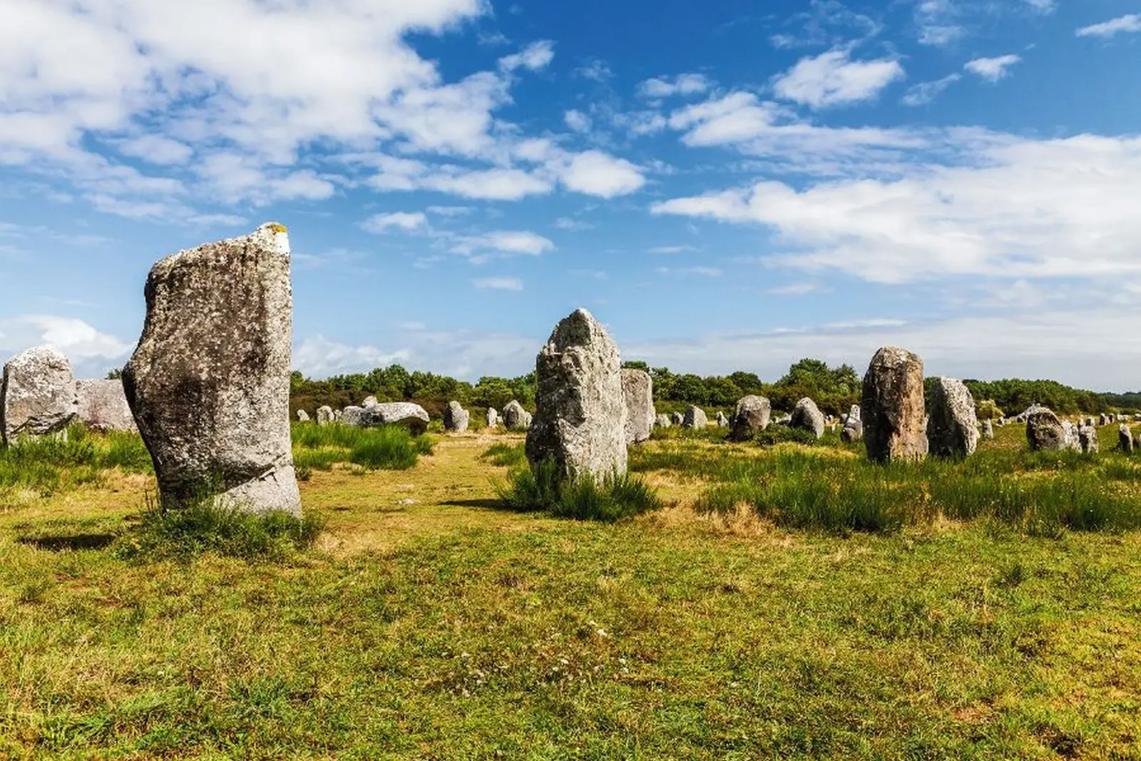 Menhire in Carnac