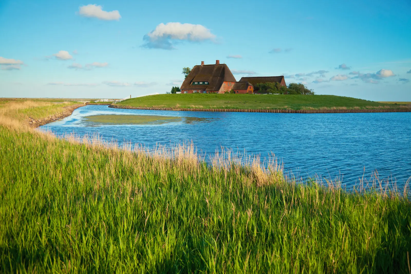 Kirchwarft - Hallig Hooge