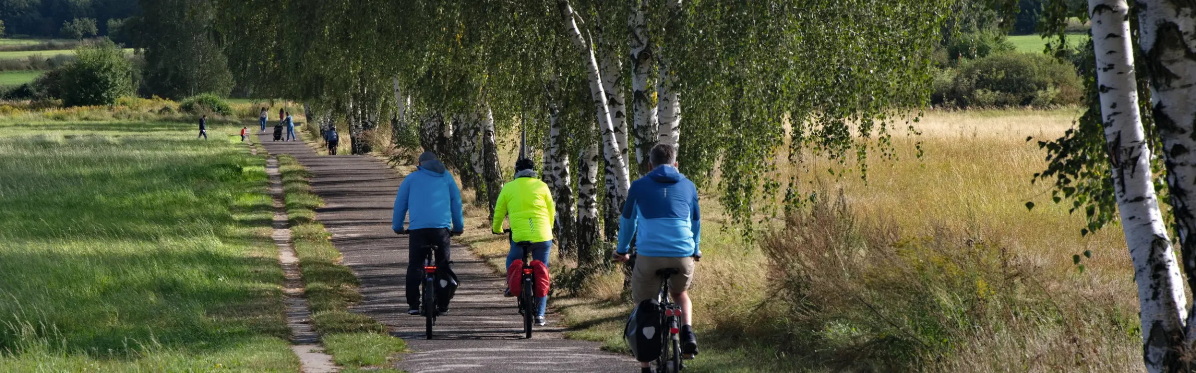 People cycling along a cycle path through a rural landscape.